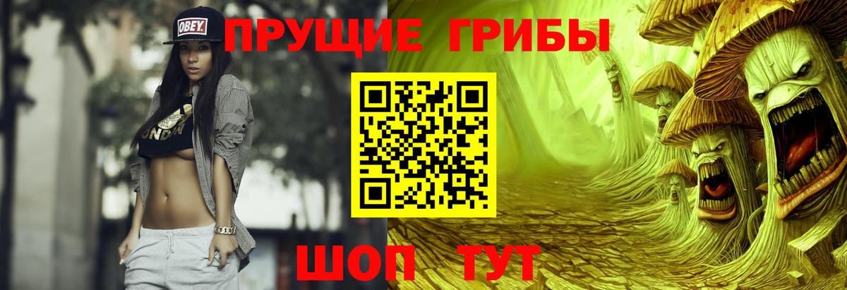 Большой Камень  Псилоцибиновые грибы GOLDEN TEACHER  Вход с VPN 