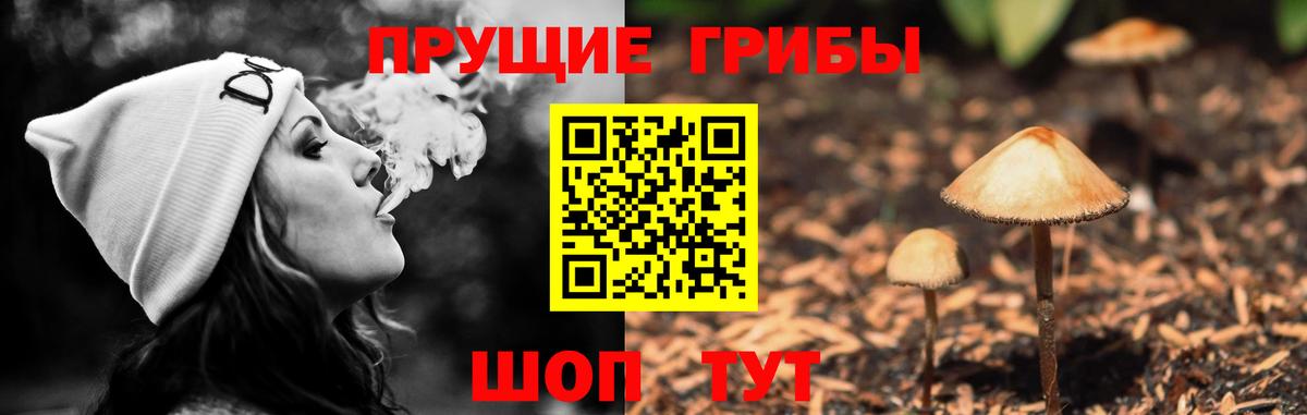 Псилоцибиновые грибы MAGIC MUSHROOMS Большой Камень